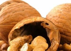 تناول عين الجمل يجعل الذهن خاليا من الهموم